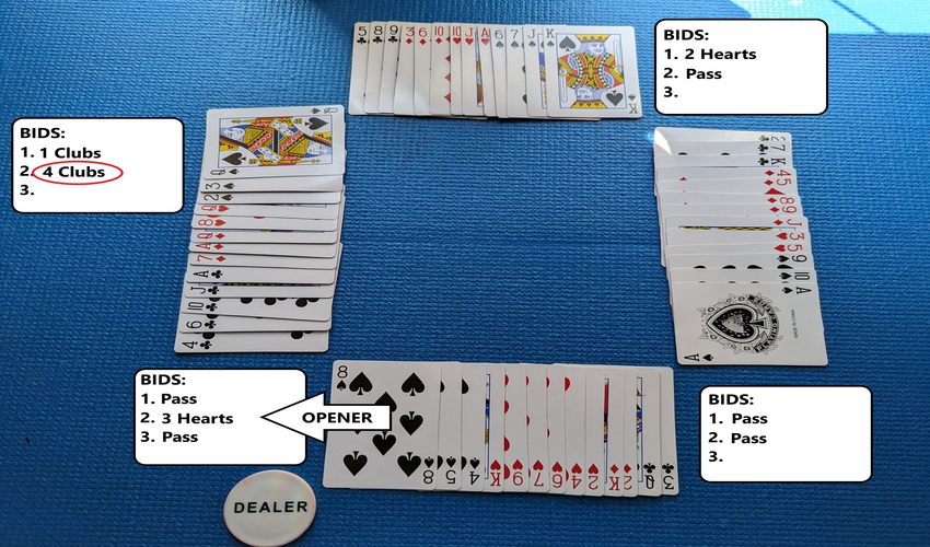 bridge bidding