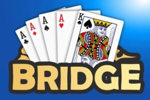 bridge logo