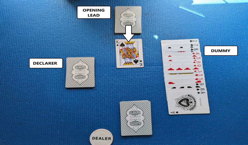 bridge tricks