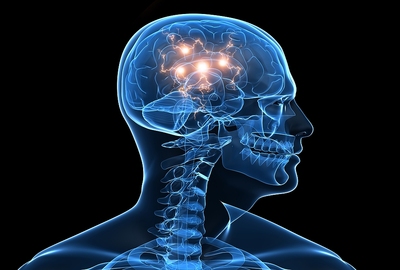 gambling brain activity