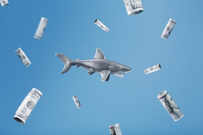 loan shark