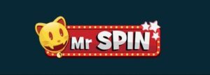 mr spin logo 