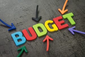 Bingo Budget