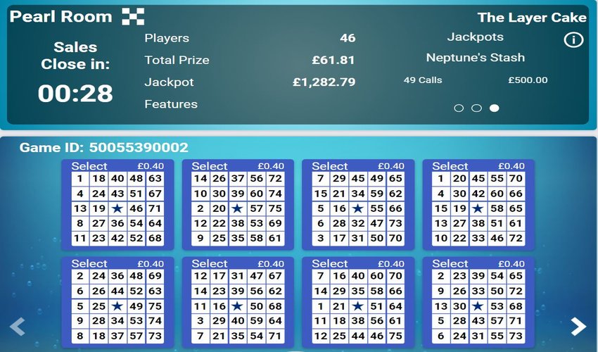 How Online Bingo Works